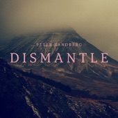 Dismantle artwork