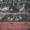 CAMP COPE - HOW TO SOCIALISE AND MAKE FRIENDS