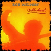Bob Wilders - When the Night Comes Rollin' In