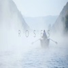 Roses - Single