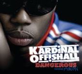 Dangerous (feat. Akon) [feat. Akon] artwork