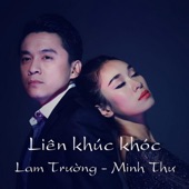 Liên khúc Bỗng dưng muốn khóc, Vừa đi vừa khóc, Những đêm em khóc (feat. Minh Thư) artwork