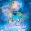 Cosmos, 2018