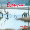 José Ignacio Valdés - Reflejos