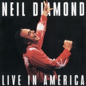 Live in America artwork