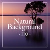 Pure Relaxation Ensemble - Nature XX - Ocean