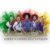 Sobre o Lombo dos Cavalos