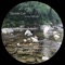 A Say With You - Davide Cali lyrics