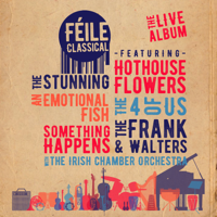 Various Artists - Féile Classical artwork