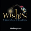 Disney World Attraction - Magical Wishes