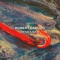 Remember - Robert Caruzo lyrics