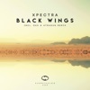 Black Wings - Single