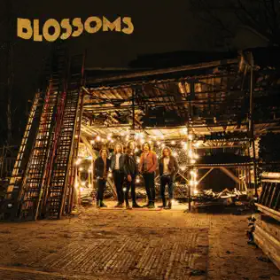 baixar álbum Blossoms - Blossoms