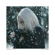 Feelin' Like Christmas - Sarah Reeves