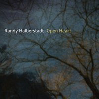 Randy Halberstadt - Open Heart artwork