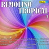 Remolino Tropical 4, 2017