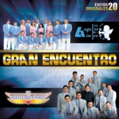 Gran Encuentro (20 Éxitos Originales) artwork