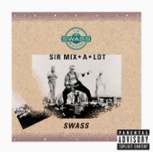 Sir Mix-A-Lot - Hip Hop Soldier