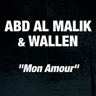 Mon amour (Edit) [feat. Wallen] - Single - Abd Al Malik