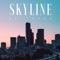Skyline artwork