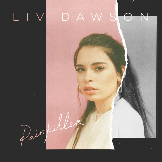 Cover artwork for Painkiller