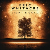 Eric Whitacre - The Stolen Child