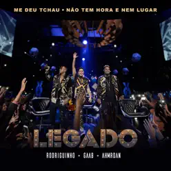 Me Deu Tchau / Não Tem Hora e Nem Lugar (feat. Nanah) [Ao Vivo] - Single - Gaab