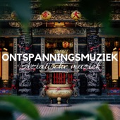Ontspanningsmuziek: Aziatische muziek met tibetaanse kommen, bellen en meditatiemuziek artwork