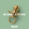 Me Gané la Lotería - Siam lyrics