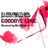 Goodbye Love (Alix Alvarez SC Instrumental) artwork