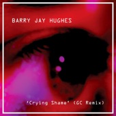 Crying Shame (Gc Remix) artwork