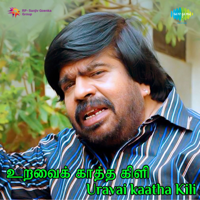 T Rajendar - Uravai Kaatha Kili (Original Motion Picture Soundtrack) artwork