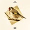 Goldfinch - Chime lyrics