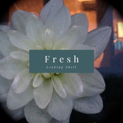 Leaking Shell - Fresh
