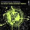 Stoneface & Terminal - So What (Greg Downey Remix)