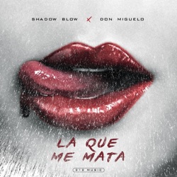 Shadow Blow - La Que Me Mata