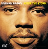 Norman Brown - After the Storm