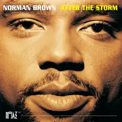After the Storm - Norman Brown