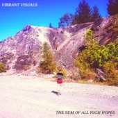 The Sum of All High Hopes artwork