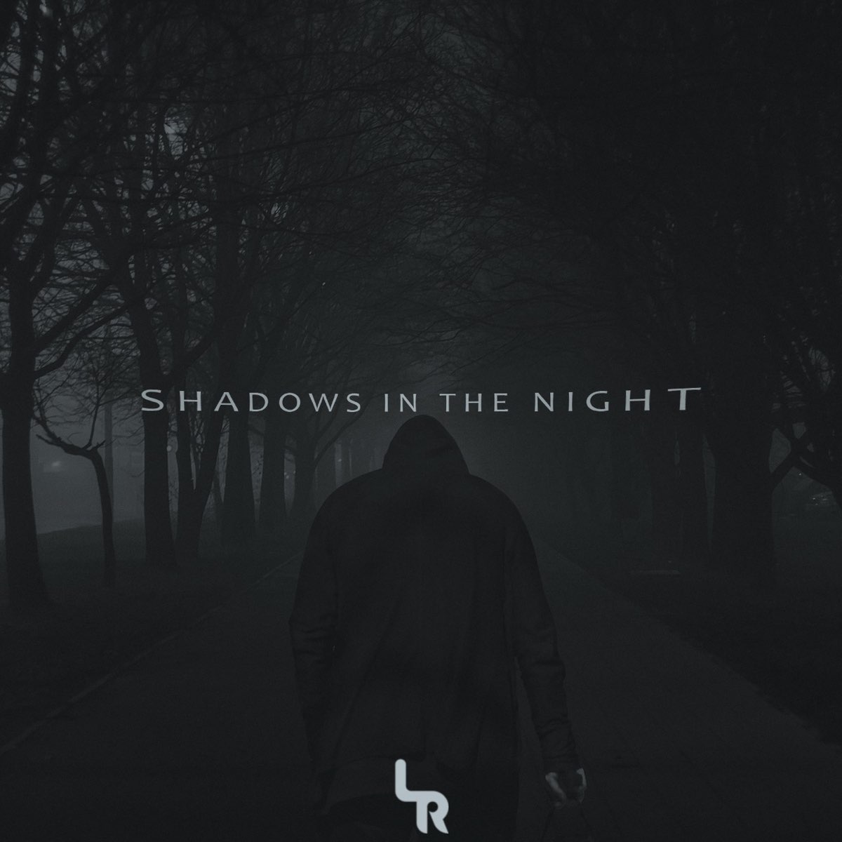 Shadow shadow album