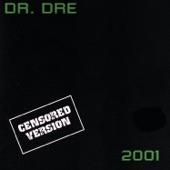 Still D.R.E. artwork