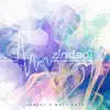 Zindagi (feat. Macy Kate) - Single album lyrics, reviews, download