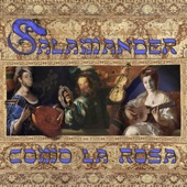 Salamander - Durmo La Nochada / Der Terk in Amerika (feat. Emil Pernblad)