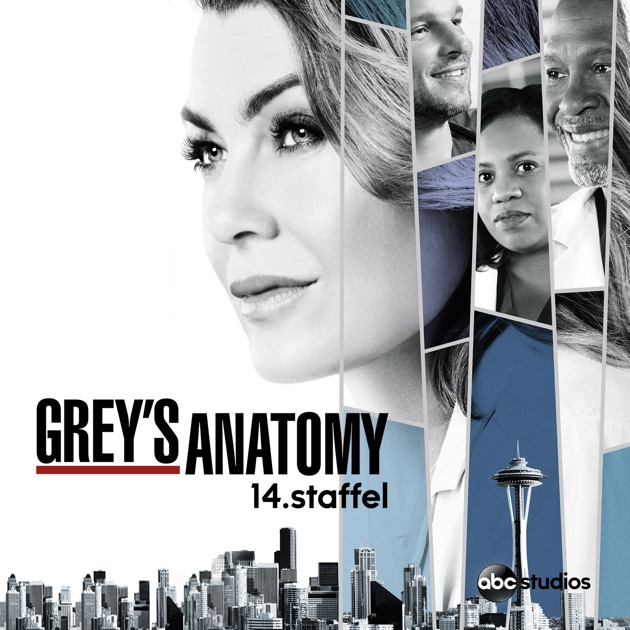 Grey Anatomy Staffel 14 Grey Anatomy Staffel 14