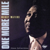 Muddy Waters - Meanest Woman