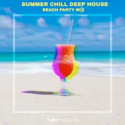 Indian Summers (Chill house Desi mix) Song Lyrics