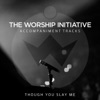 Though You Slay Me (The Worship Initiative Accompaniment) - Single