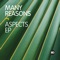 Aspect - Many Reasons lyrics