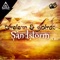 Sandstorm - Orelem & Solrac lyrics
