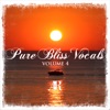 Pure Bliss Vocals, Vol. 4